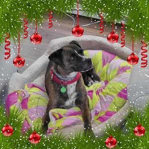 Meet your Posher, Debra